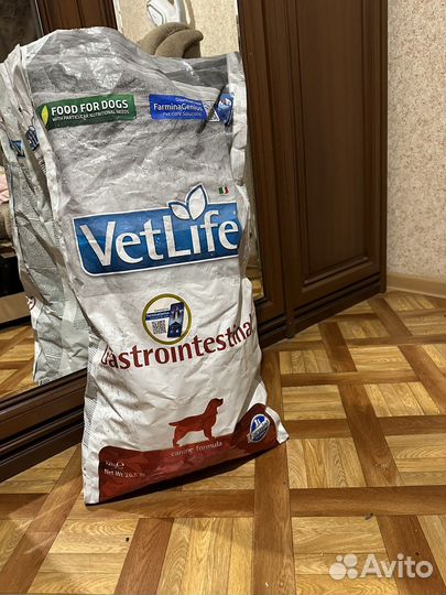 Сухой корм для собак для гастрита