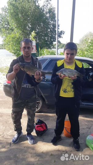 Платная рыбалка - Козлаковские пруды