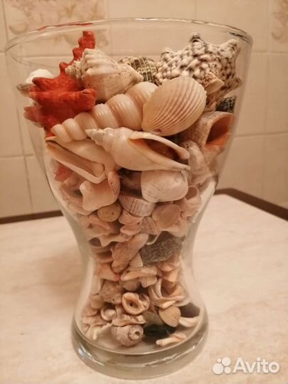 Ваза с ракушками