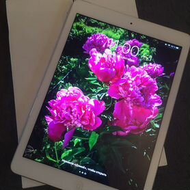 iPad air WI-FI + cell