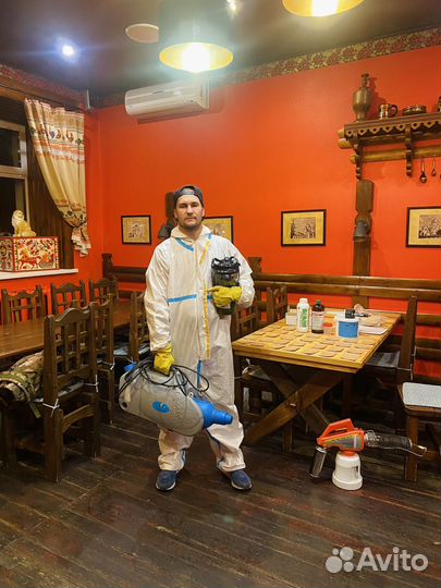 Уничтожение тараканов клопов Дезинсекция