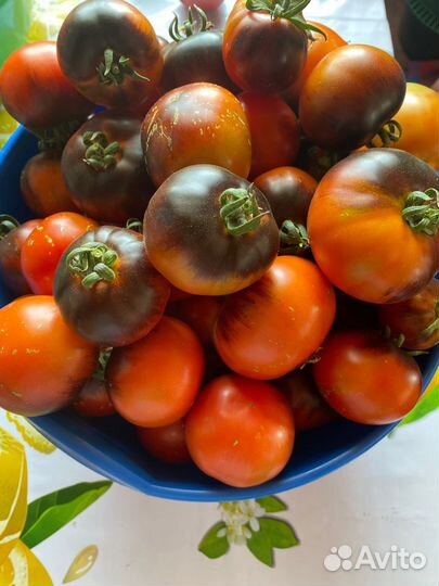 Продам помидоры