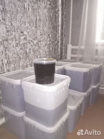 Мёд и продукты пчеловодства