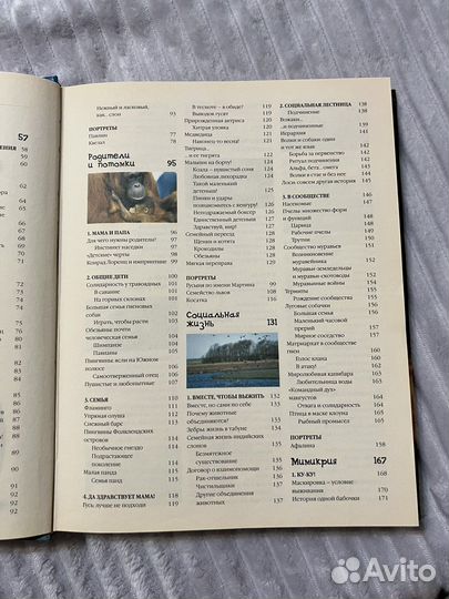 Книга Энциклопедия животных