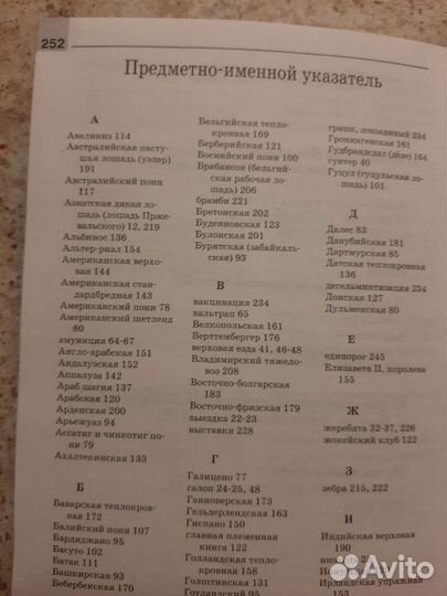 Мини-энциклопедия Лошади и пони