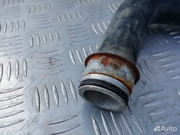 Патрубок радиатора нижний Peugeot Partner M49