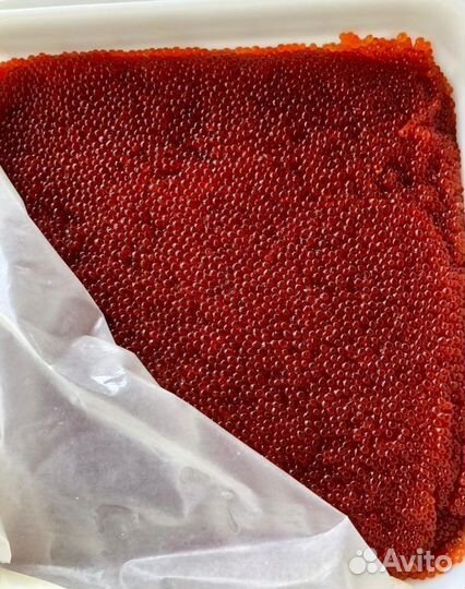 Икра красная горбуши 2023