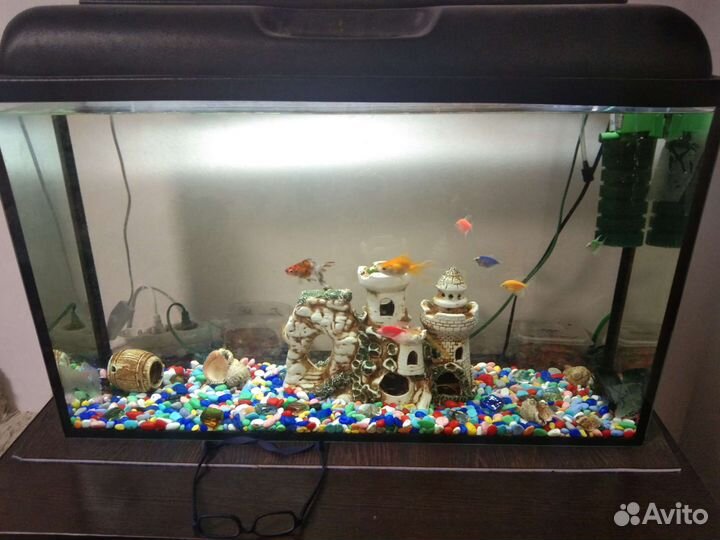 Аквариум