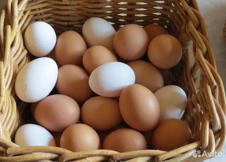 Домашние куриные яйца