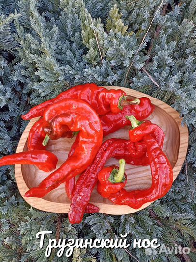 Семена коллекционных перцев