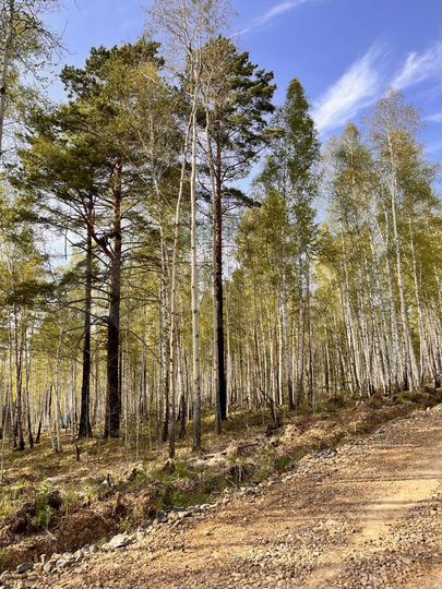 Участок 15 сот. (СНТ, ДНП)