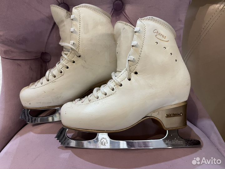 Коньки для фигурного катания edea chorus