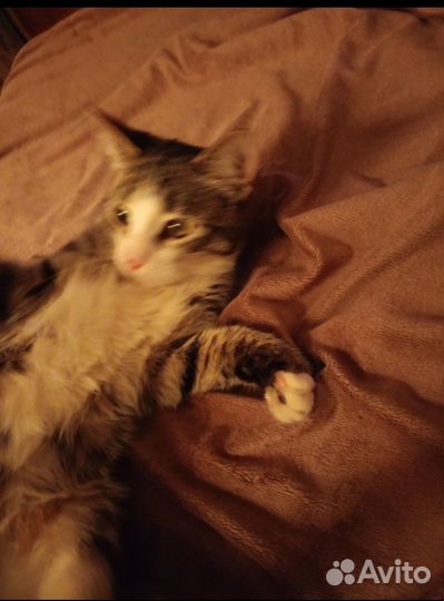 В самые добрые ручки