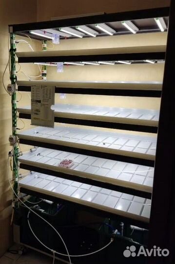 6-Ур. гидропонная установка (макс компл.)