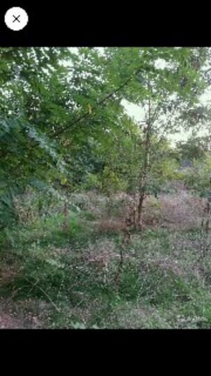 Дом 38 м² на участке 13 сот.