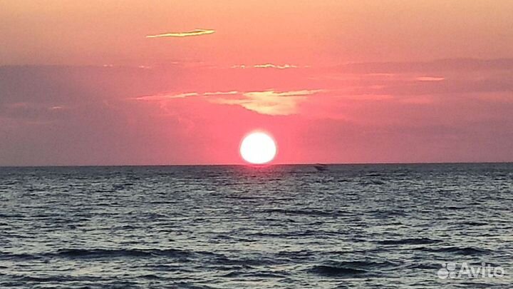 Инвестиции в производство или бизнес