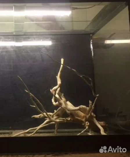 Коряги, камни, грунт