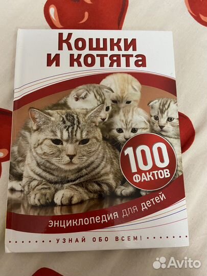 Книжка энциклопедия