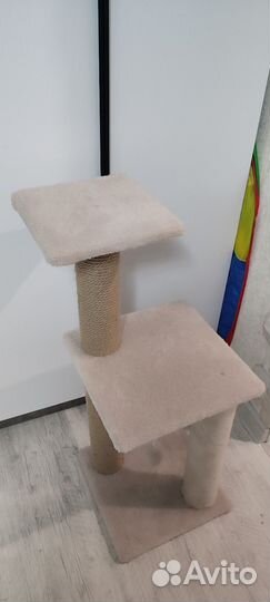 Когтеточка