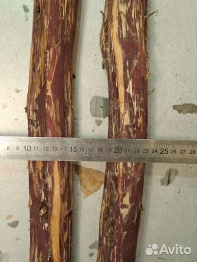 Стволы для панно из можжевельника