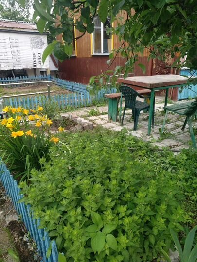Участок 6 сот. (СНТ, ДНП)