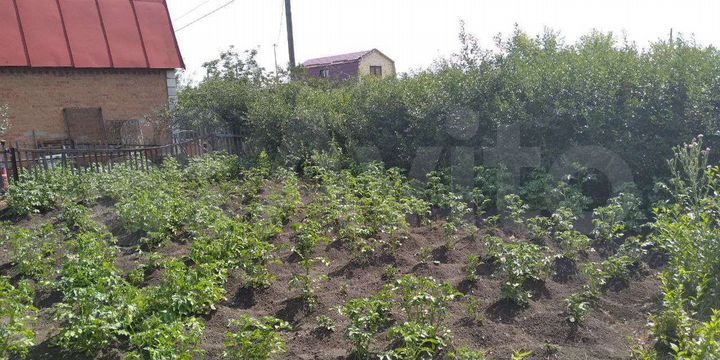Участок 10 сот. (СНТ, ДНП)
