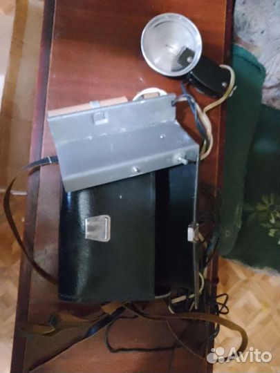 Фотовспышка чайка