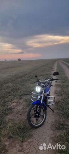 Мопед Alpha rx110