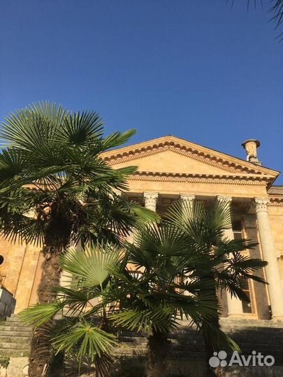 Трансфер в Абхазию