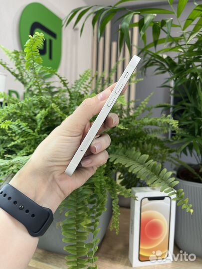 iPhone 12 mini, 128 ГБ