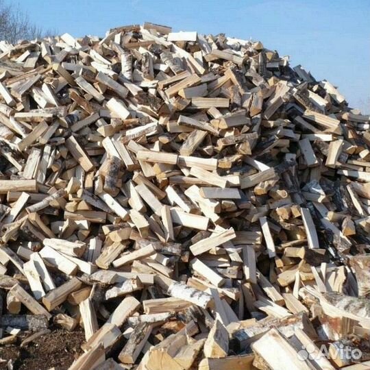 Дрова осина