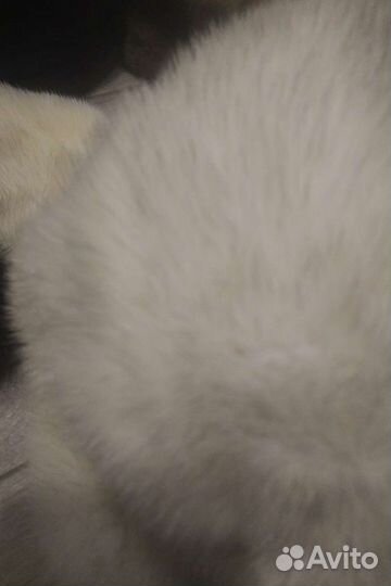 Женские норковые шапки размер 57-58