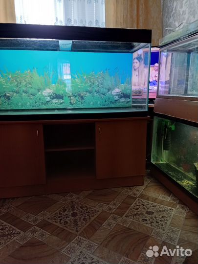 Аквариумы