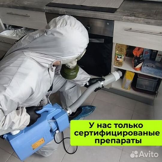 Уничтожение клопов, тараканов, кротов. Дезинфекция