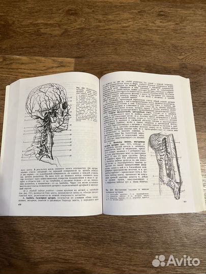 Учебник по Анатомии Привес