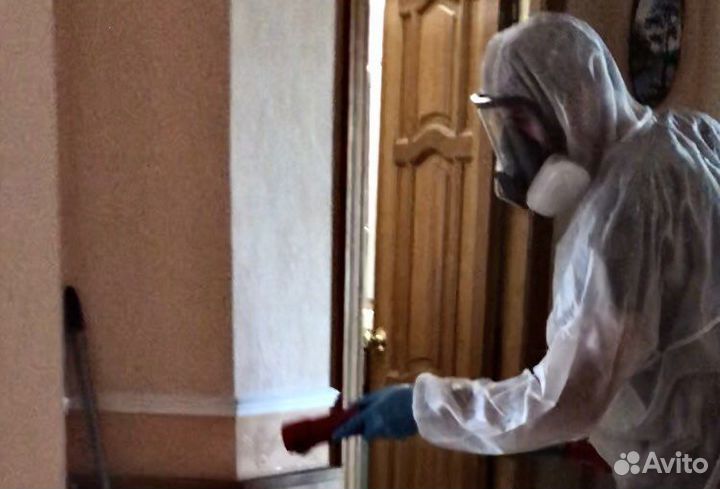 Уничтожение тараканов блох клещей клопов