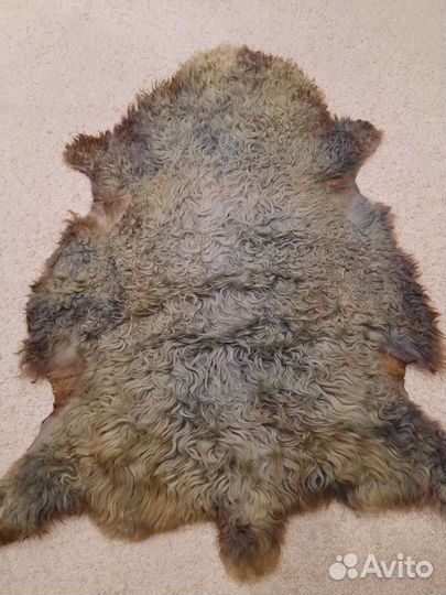 Шкуры овчины