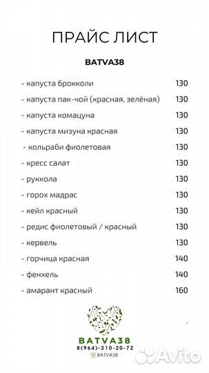 Мелисса лимонная свежая зелень