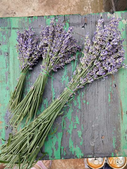 Букет лаванды