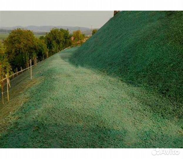 Гидропосев газона