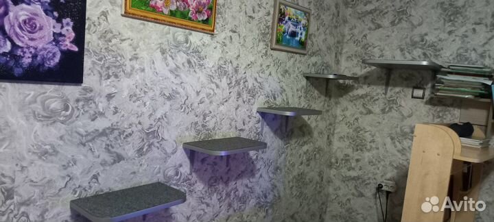 Полки, гамаки, мостики для кошек