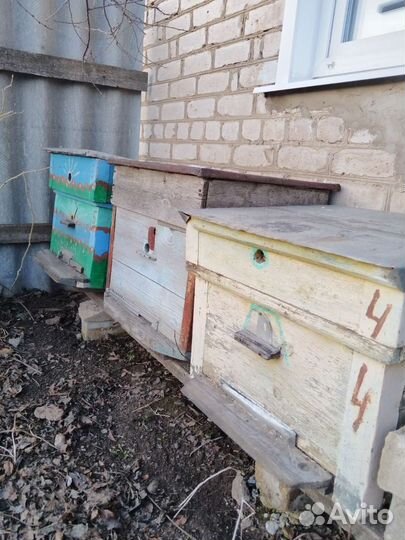 Продам ульи для пчел