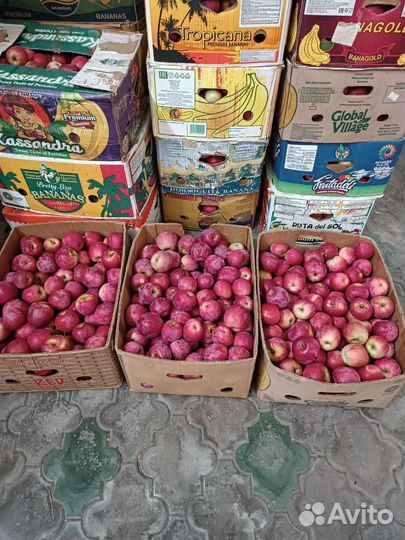 Яблоки флорина