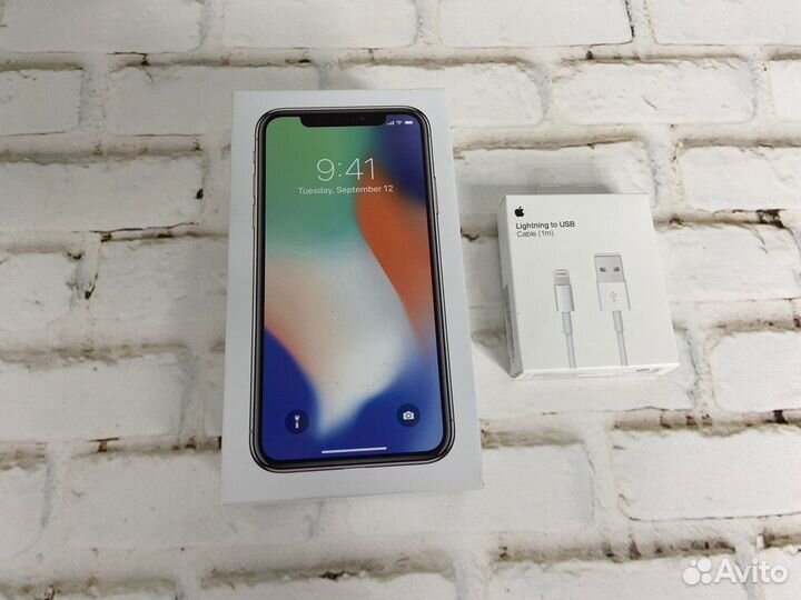 iPhone X, 256 ГБ