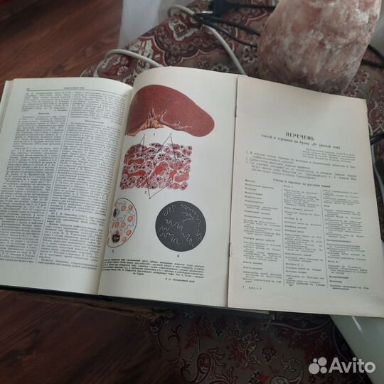 Медицинская энциклопедия