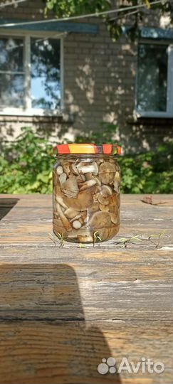 Грибы маринованные