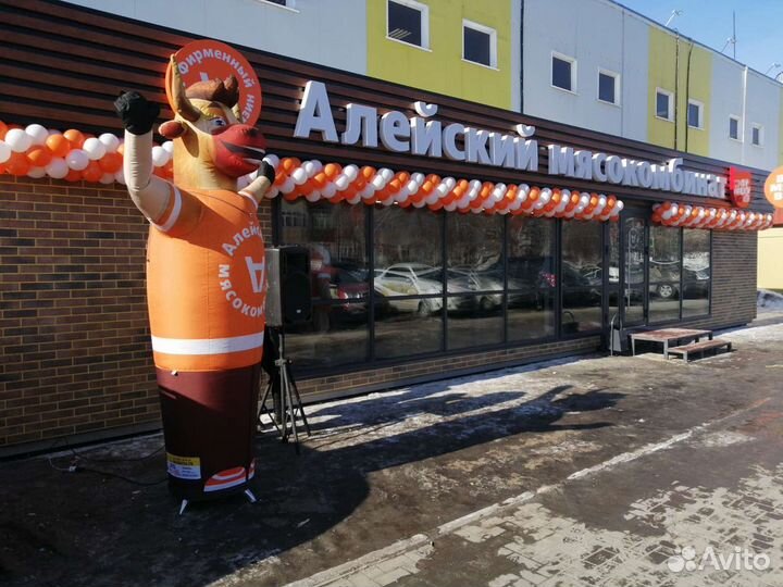 Арка из шаров на открытие