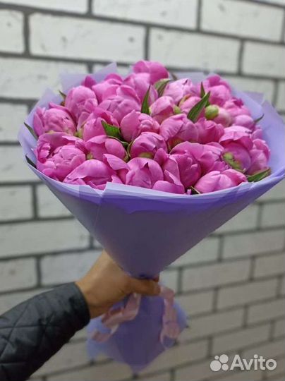 Пионы опт. Москва. Доставка