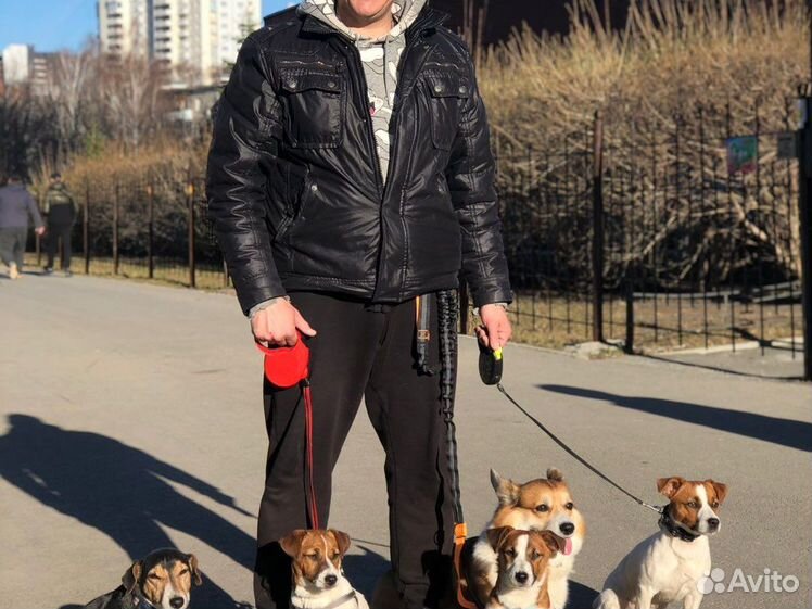 Рассел брэнд британский комик. Рассел екатеринбург. Актер рассел брэнд. Рассел брэнд (russell brand) (russell edward brand). Джек-рассел-терьер черный.
