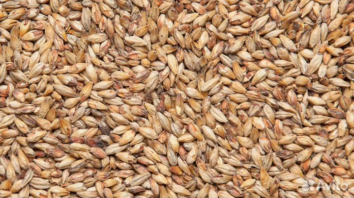 Солод Меланоидиновый